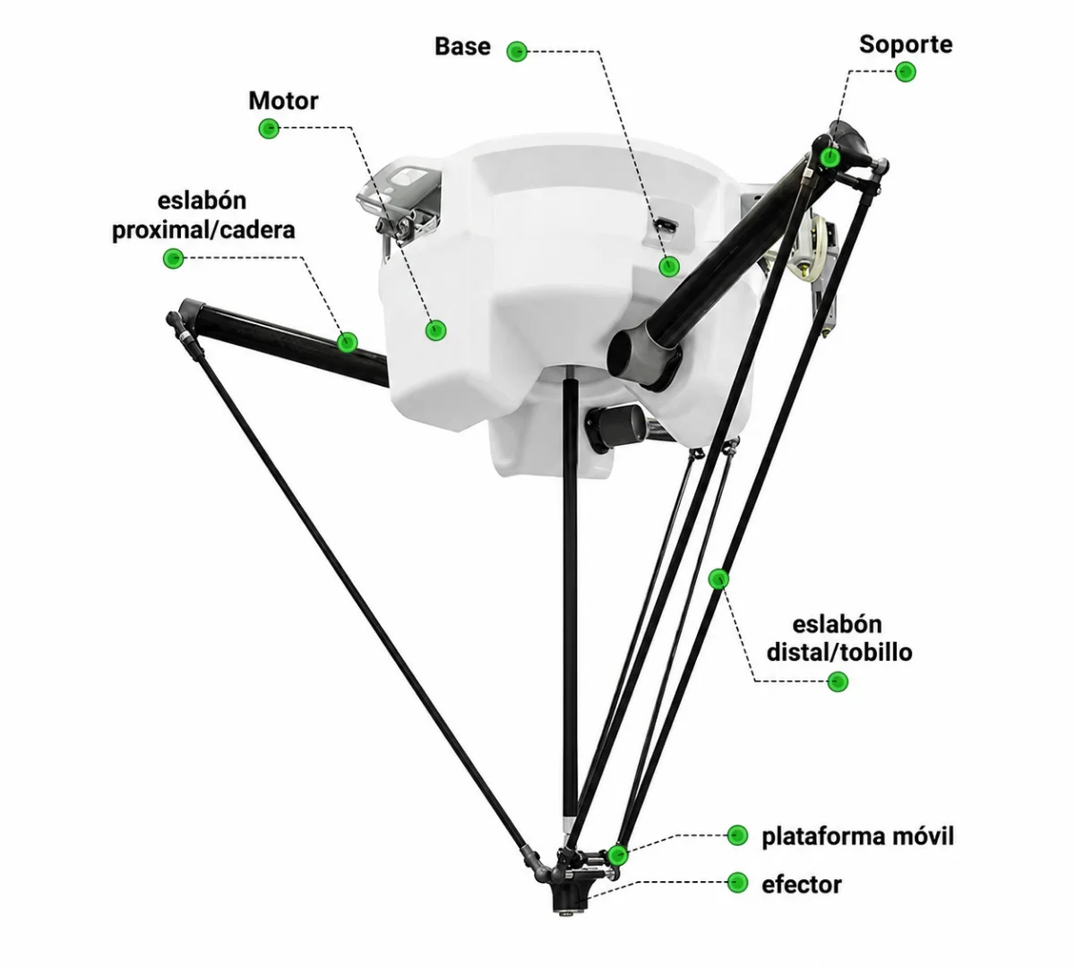 MÁQUINA EMPACADORA ROBÓTICA DE CAJAS 2 ESTACIONES 5